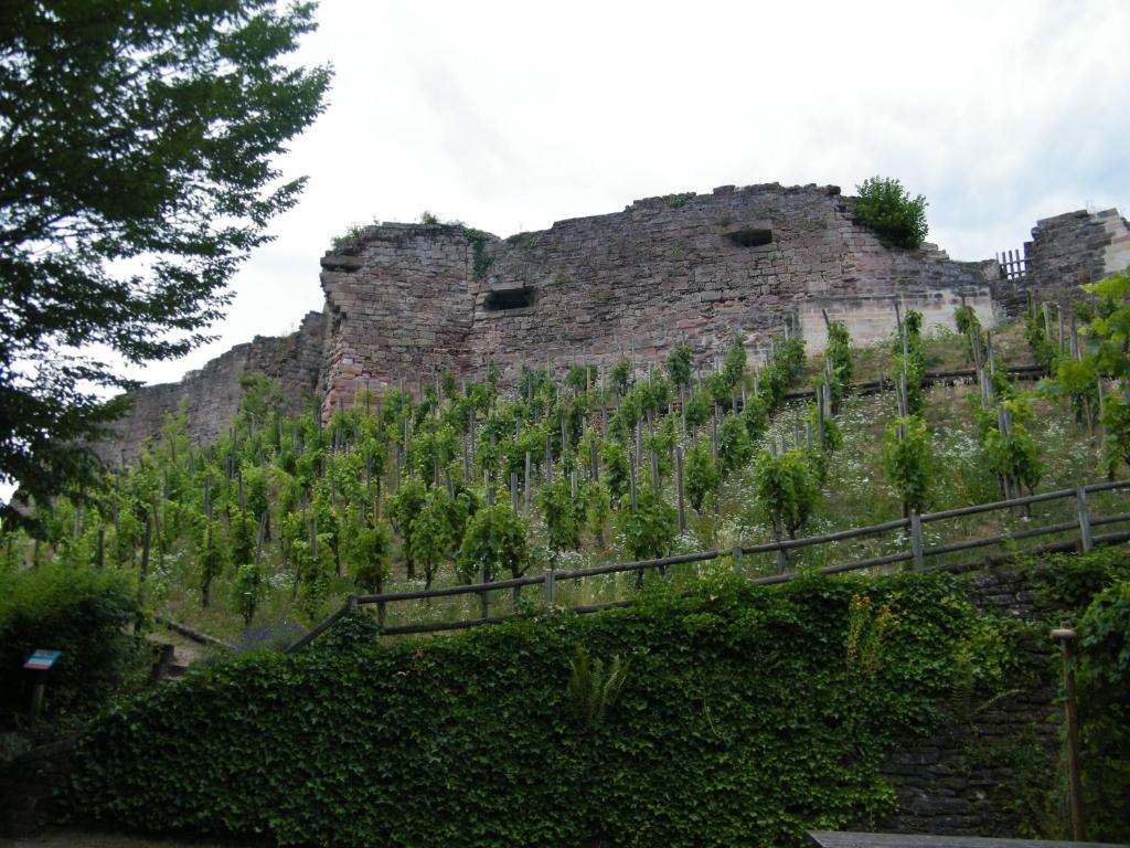 an old castle on top of a hill with trees at Chez Laurent et Sandrine in Chantraine