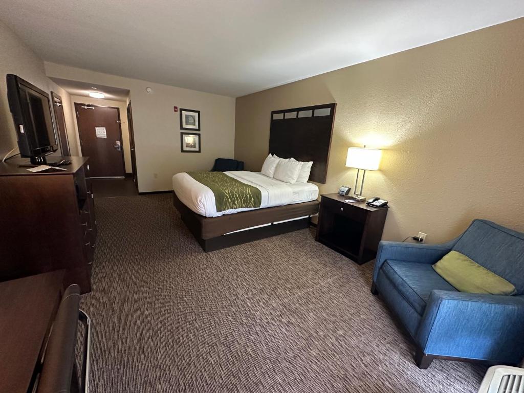 Comfort Inn - Queen Room - No Fumando