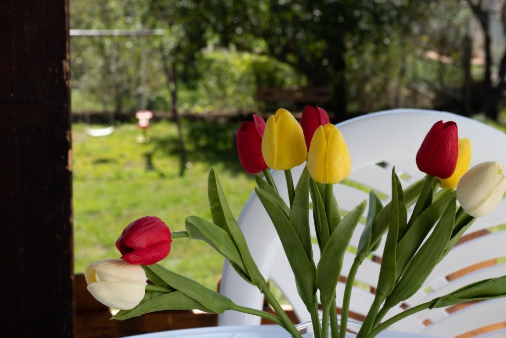 a bunch of tulips in a vase on a table at Lucija in Lovinac