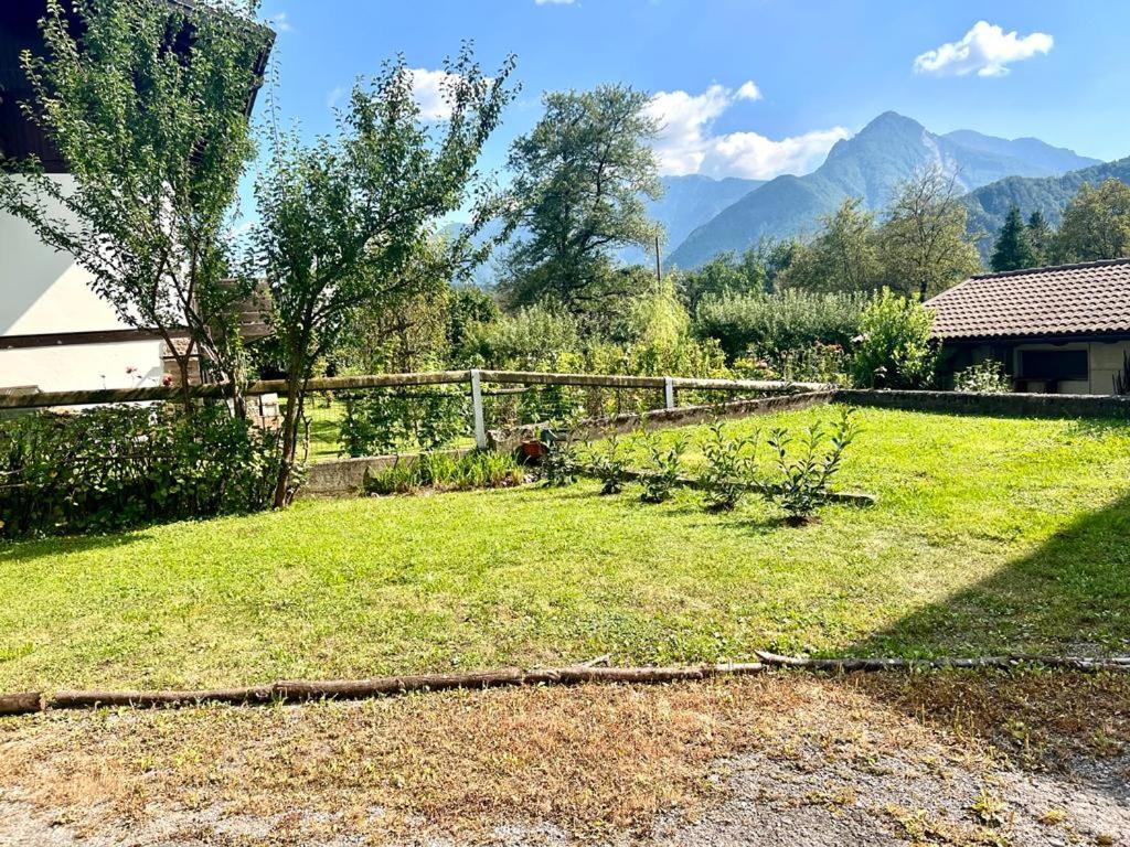 Příroda nedaleko apartmánu