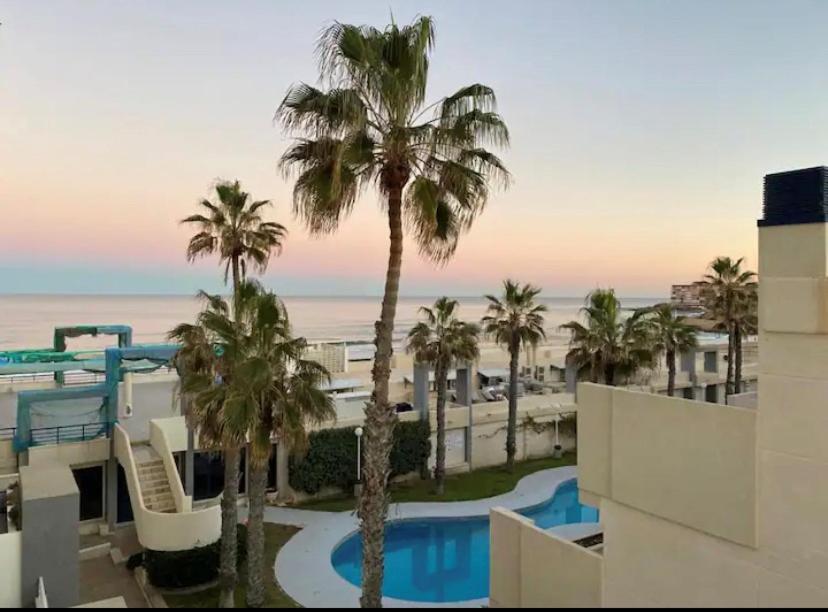 - une vue sur un complexe avec des palmiers et une piscine dans l'établissement Torrevieja La Mata Primera línea playa, à Torrevieja