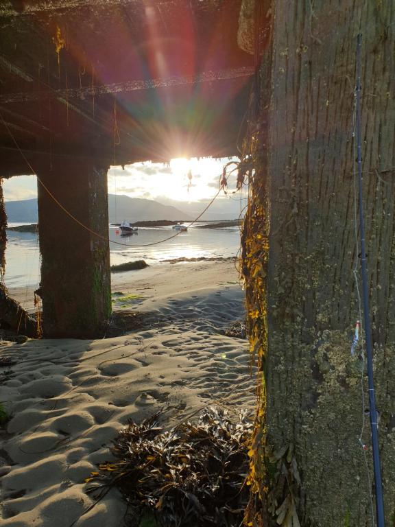 a view of a beach with the sun setting at The Viewpoint in Newry