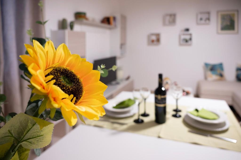 un girasol amarillo en un jarrón en un mostrador de cocina en Casa Madoro en Grottaglie