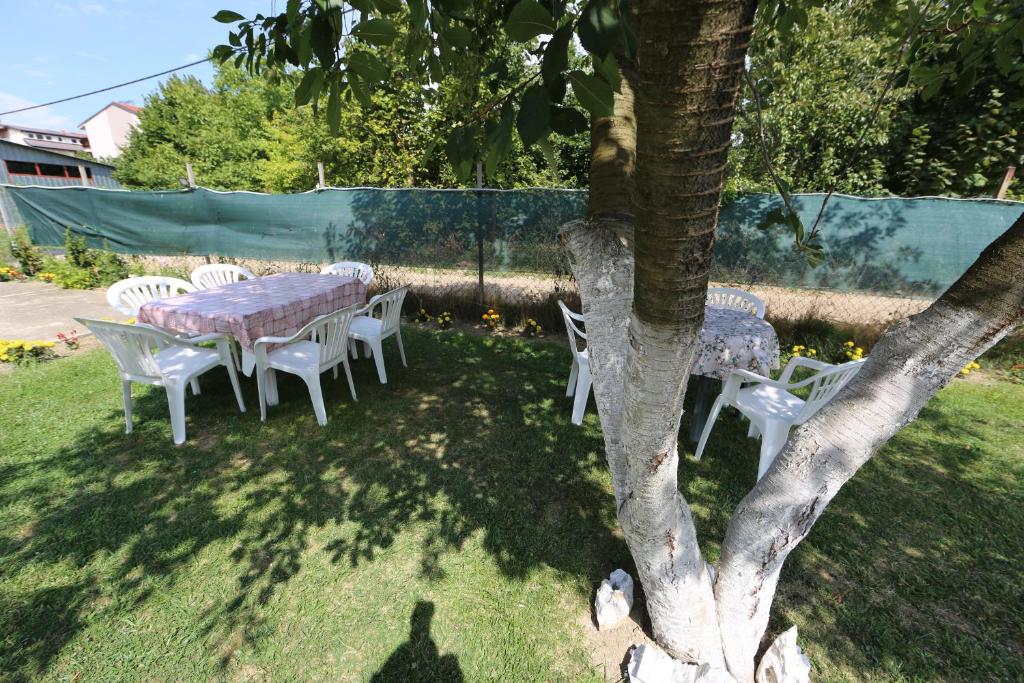 Zahrada ubytování Villa Rita