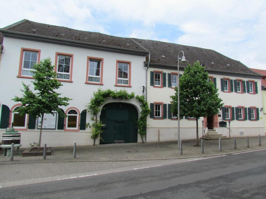 a white building with a green door on a street at Hotel Stadt Mainz in Schwabenheim