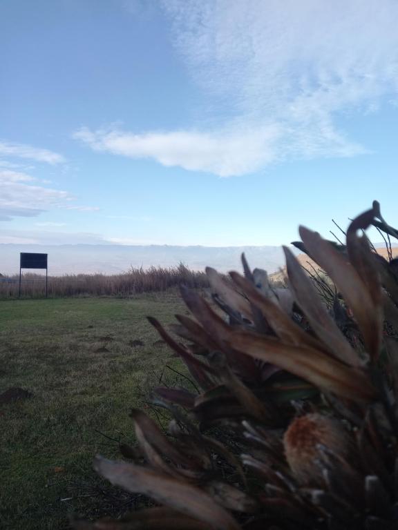 Paesaggio naturale nelle vicinanze del bed & breakfast