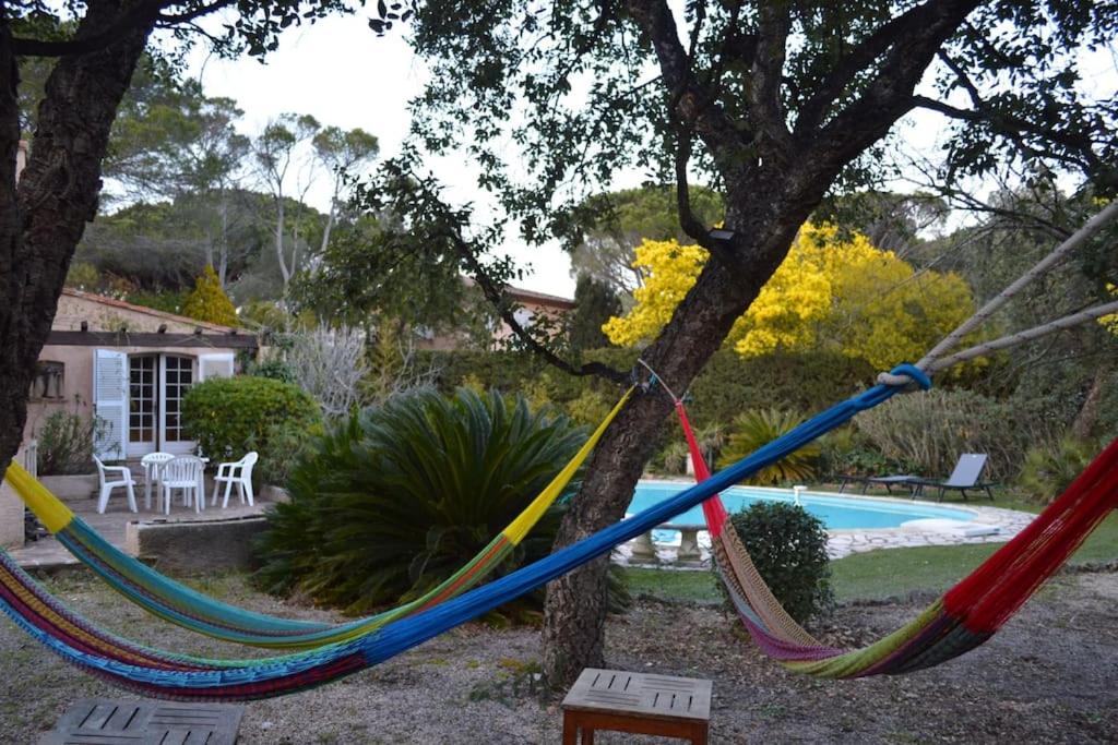un hamac suspendu à un arbre à côté d'une piscine dans l'établissement Maison provençale traditionnelle avec air conditionné, à Saint-Raphaël