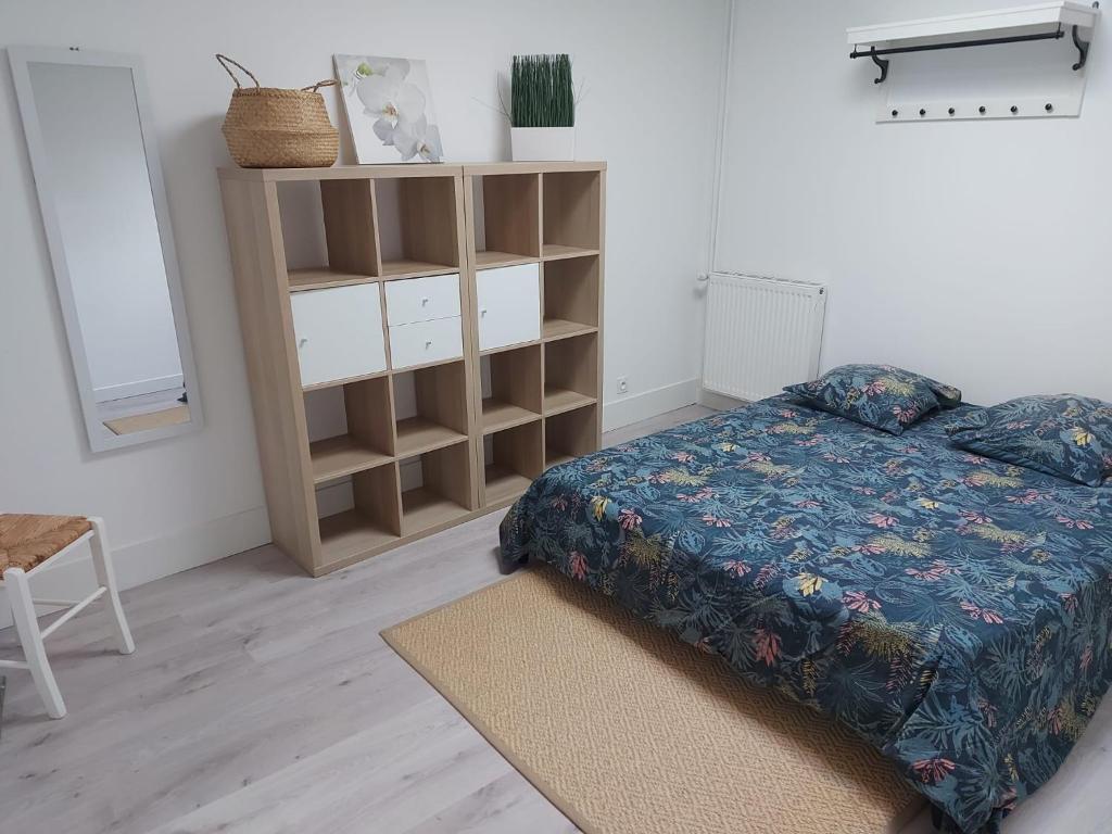 ein Schlafzimmer mit einem Bett und einem Bücherregal in der Unterkunft Appartement Confort Miribel 80m2 in Miribel