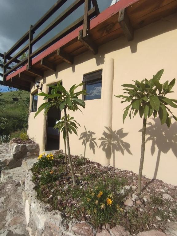 Zahrada ubytování Chichi Jamaica Glamping Hotel Campestre