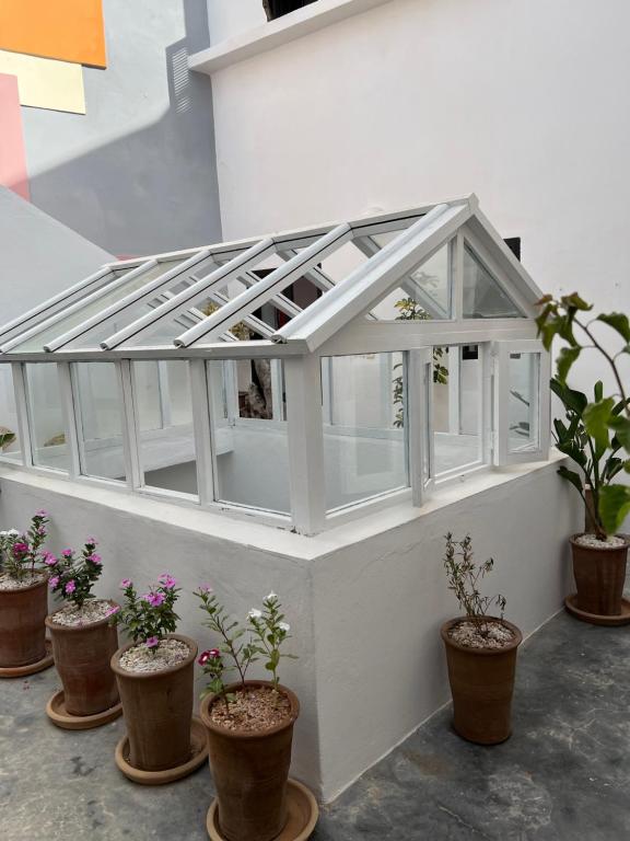 Fotografie z fotogalerie ubytování Riad Dar Sebta v destinaci Essaouira