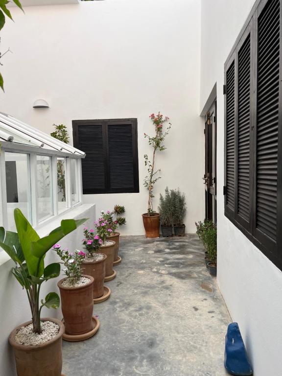 Zahrada ubytování Riad Dar Sebta