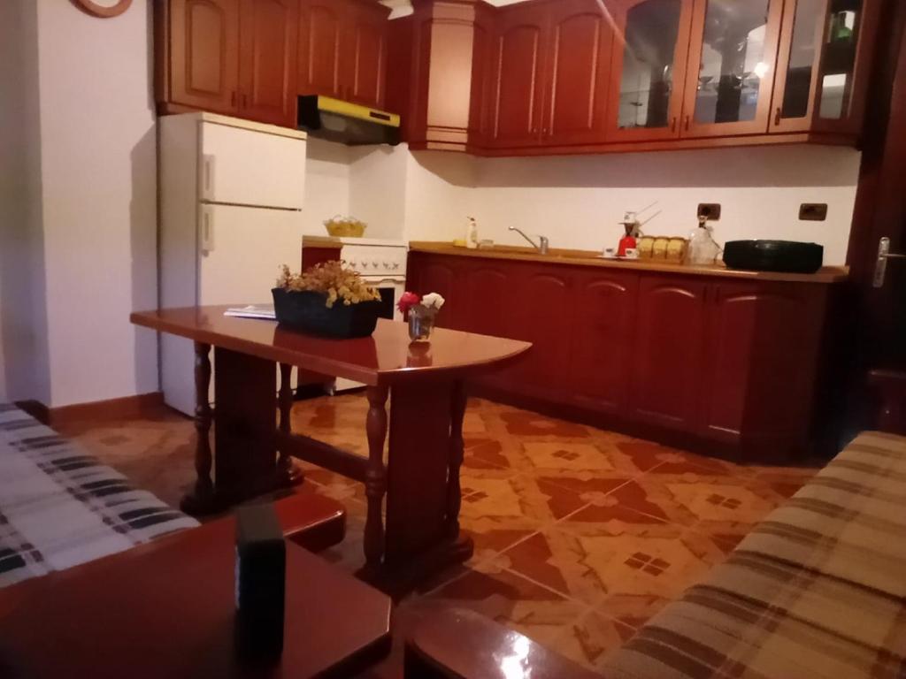 Kjøkken eller kjøkkenkrok på Apartment Enkeleda