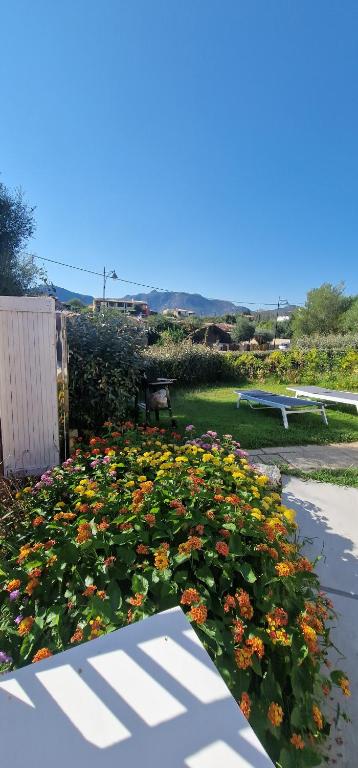 kilka kwiatów w ogrodzie z ławką w obiekcie La casa al mare, Pittulongu w mieście Olbia