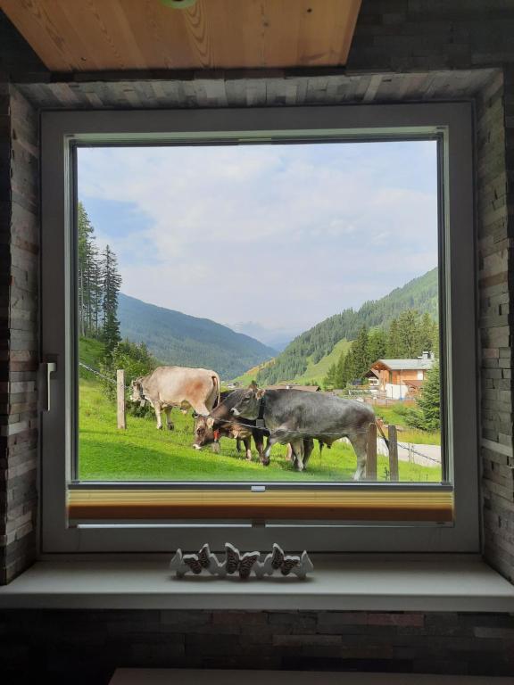 Nespecifikovaný výhled na hory nebo výhled na hory při pohledu z apartmánu