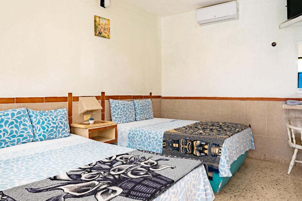 Hotel Posada Edem - Standard Room 2 Double Beds Garden View With A/C