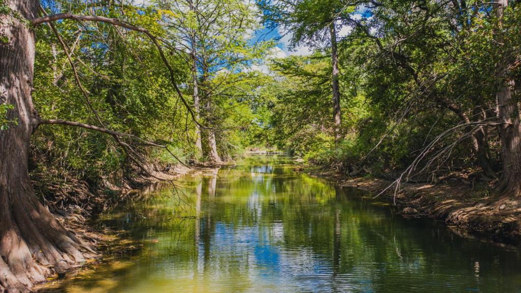 a river in a forest with trees on either side at Fig Cabin in Fredericksburg