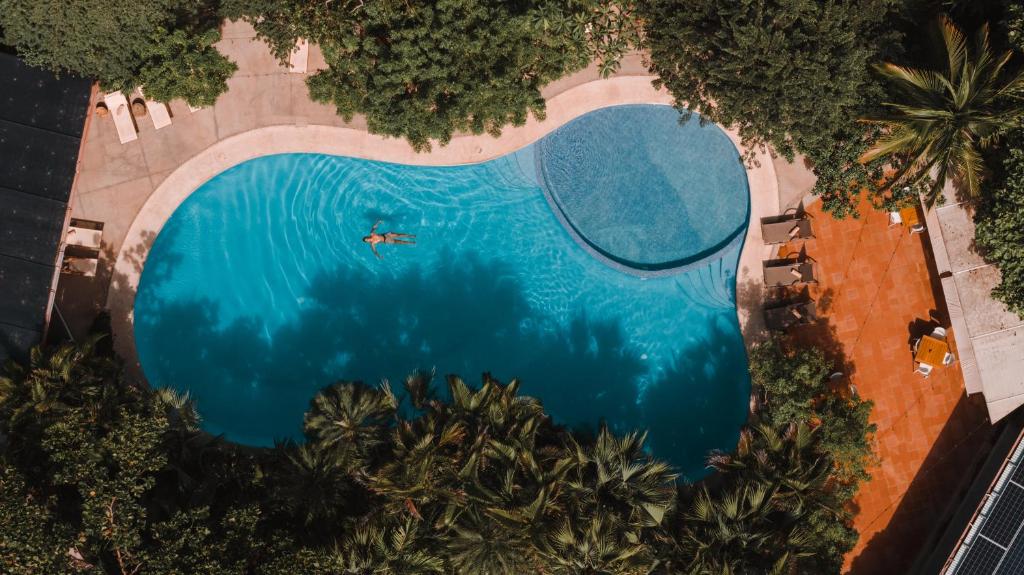 Cala Luna Boutique Hotel & Villas في تاماريندو: اطلالة علوية لشخص يسبح في المسبح