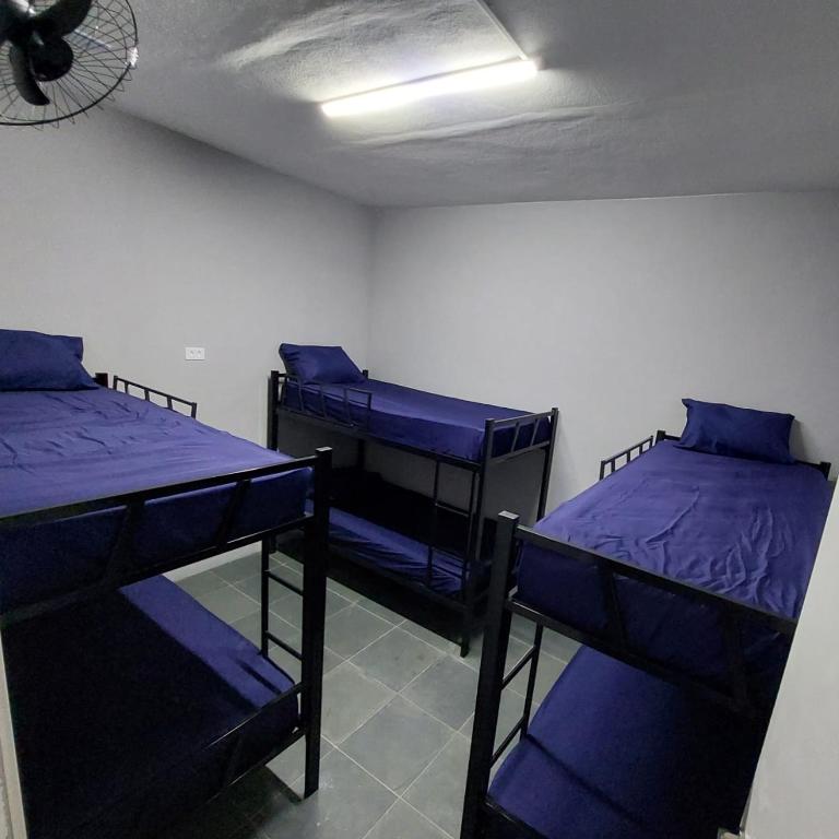 Hostel Vila Brás - 男性宿舍间的双层床