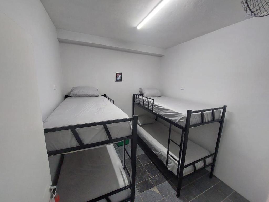 Hostel Vila Brás - 女性宿舍间的单人床位
