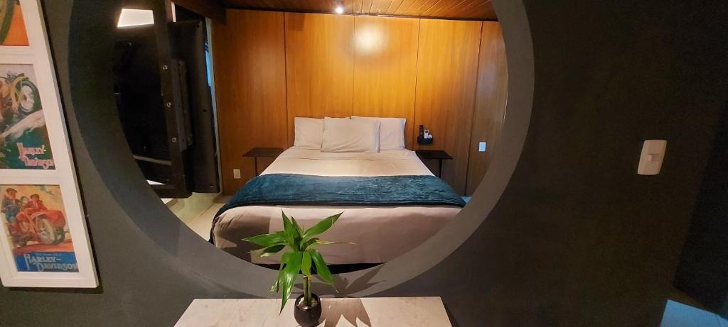 a small bedroom with a bed and a potted plant at Green Flat in Florianópolis