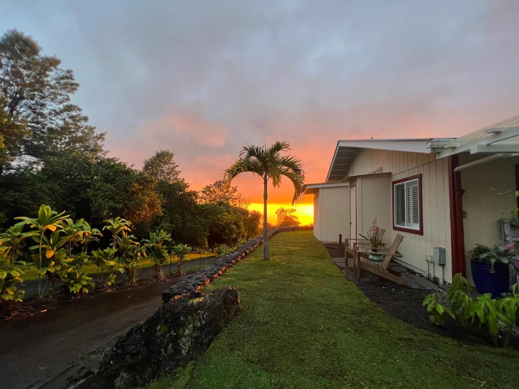 Mango Sunset Bed and Breakfast photo