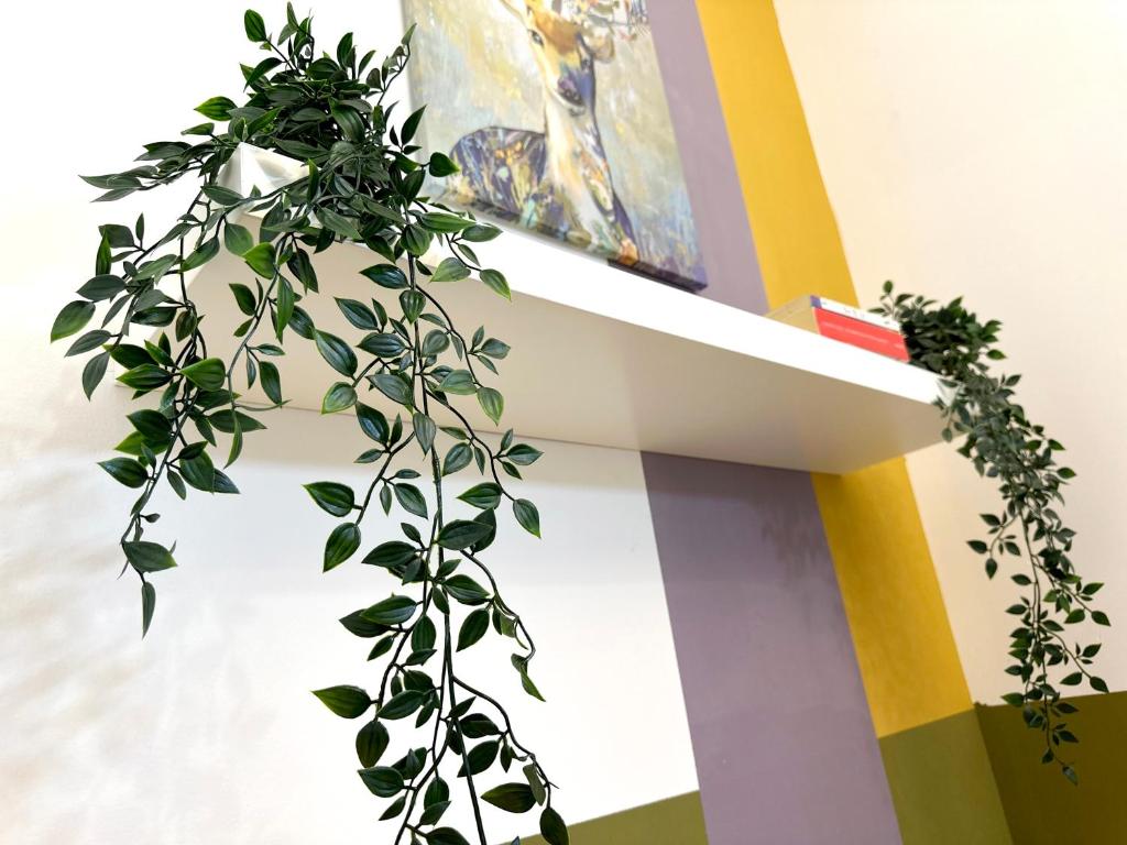 Gallery image ng Double window Partition Room in Tecom Near Metro sa Dubai