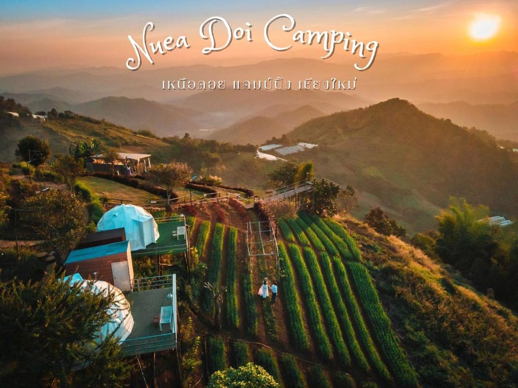 - une vue sur un vignoble avec le coucher de soleil en arrière-plan dans l'établissement เหนือดอย แคมป์ปิ้ง ( Nuea Doi Camping ), à Ban Dong