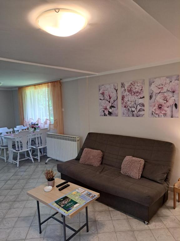 Posezení v ubytování Apartman Cherry Gradac Valjevo