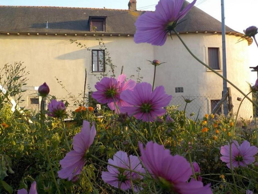 Manoir de la Guignardiere - Charme et Douceur - отзывы и видео