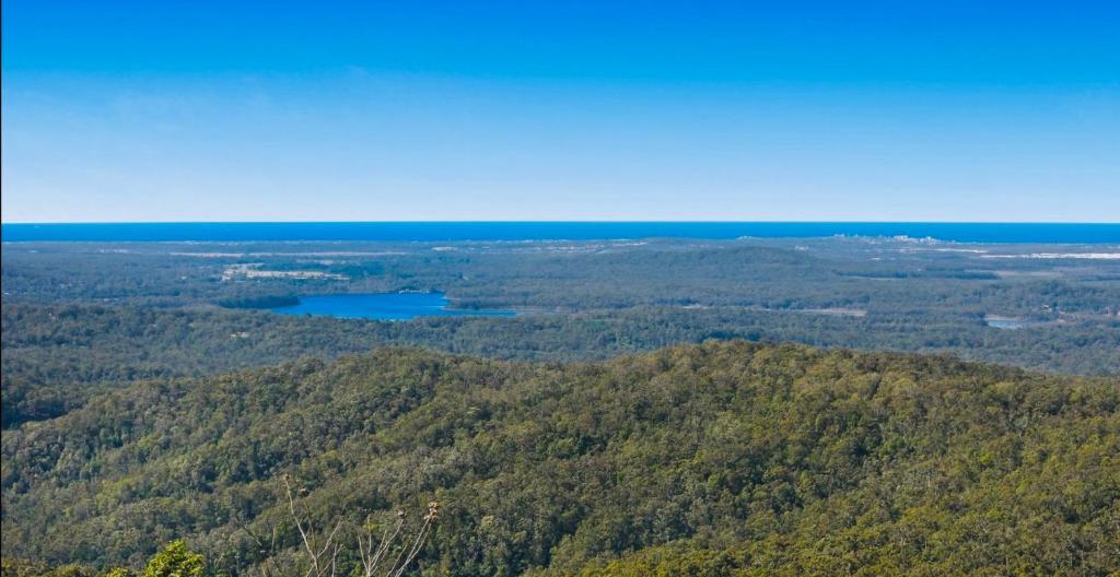 an aerial view of a forested area with a lake at Silent Hope Cottages in Bald Knob