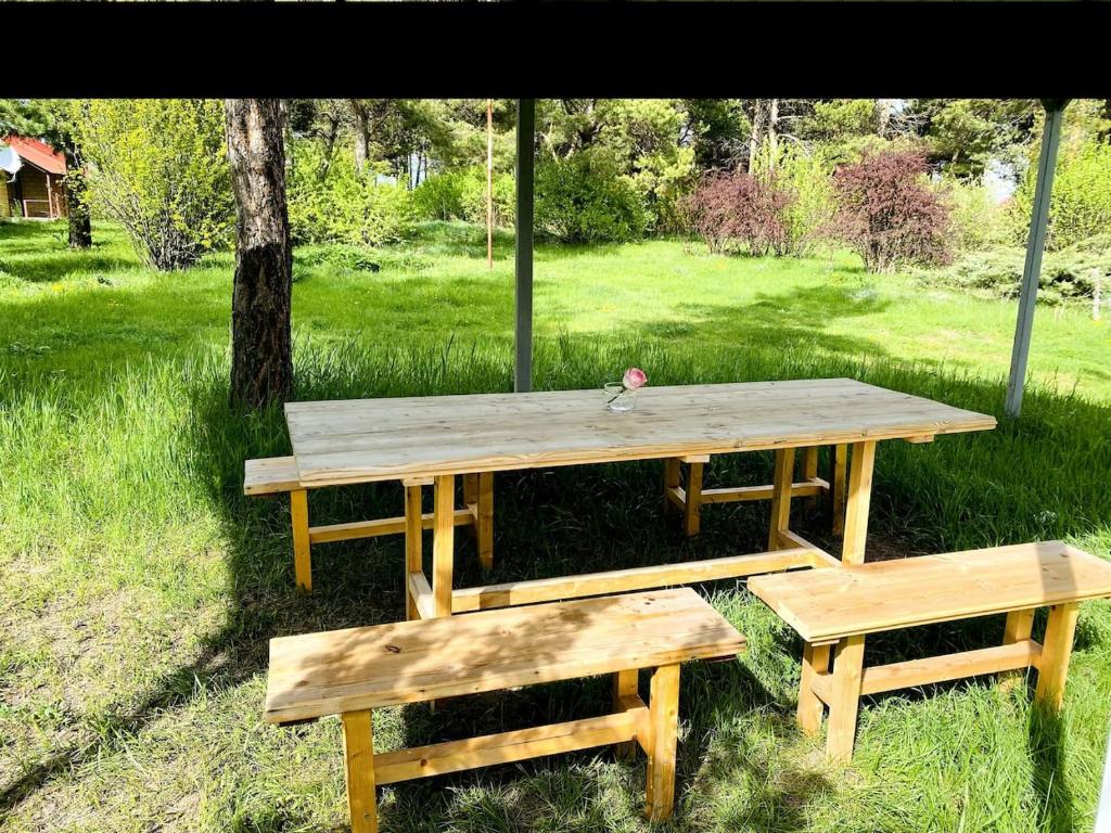 a picnic table and two benches in a field at Tranquil Forest Retreat cozy Cottage near Sevan in Sevan
