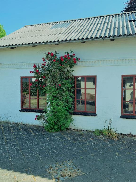 Bed & Breakfast “Den Gamle Lade I Hejls” - Apartamento De Dos Dormitorios