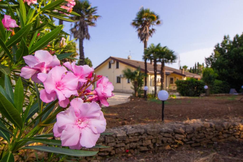 Un mazzo di fiori rosa davanti a una casa di Isla Country Apartments Alghero a Santa Maria la Palma