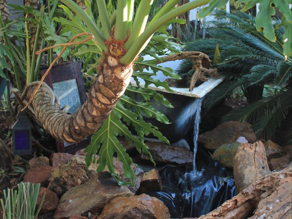 a plant with a waterfall in a garden at Wild Tree Lodge in Benoni