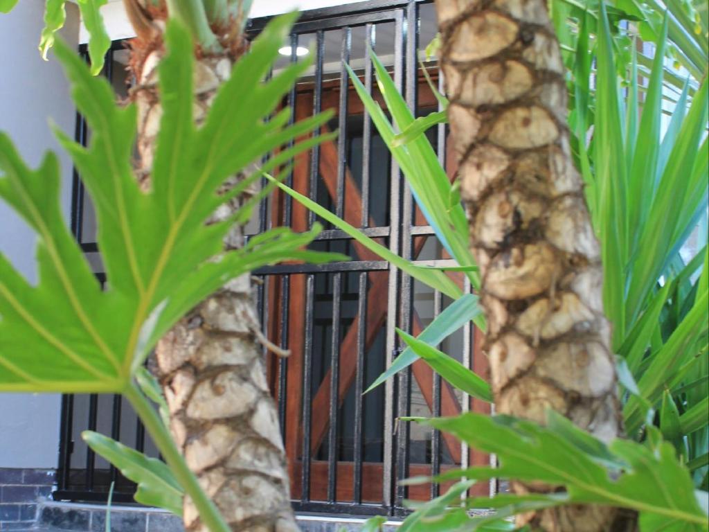 a black fence behind two palm trees at Wild Tree Lodge in Benoni