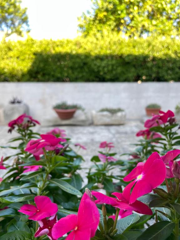A garden outside Dimora Storica San Giovanni