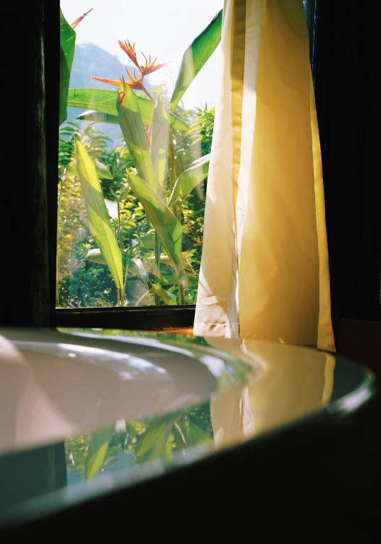 Fotografie z fotogalerie ubytování Moc Chau Retreat v destinaci Moc Chau