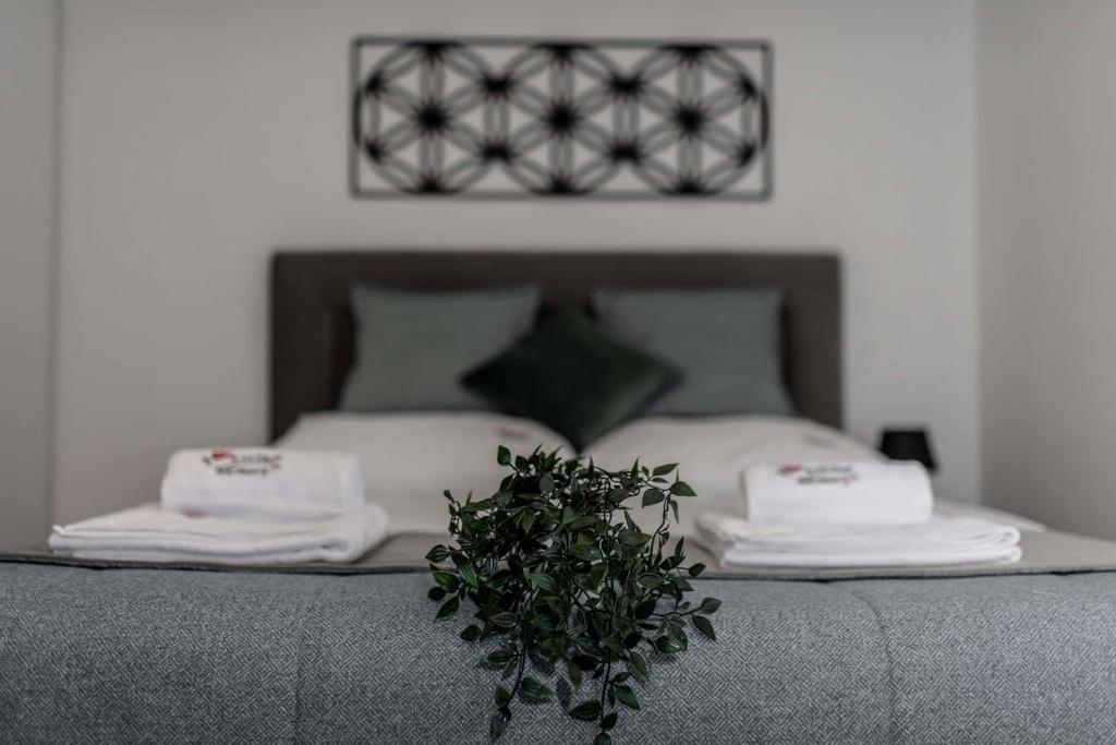 Apartamenty Kwiatowa w Szczawnicy BEZPŁATNY PARKING - Estudio Con Vista A La Montaña