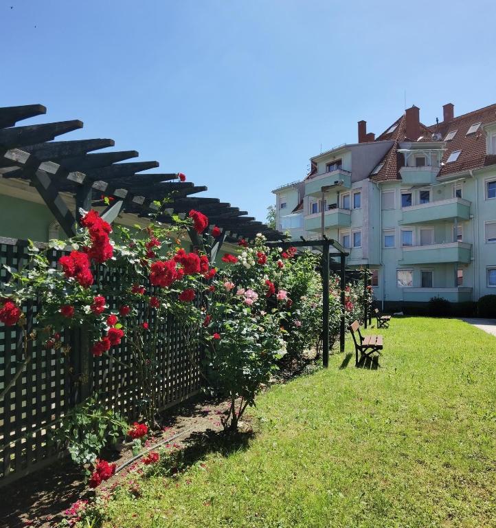 Zahrada ubytování Rose Gold Apartment
