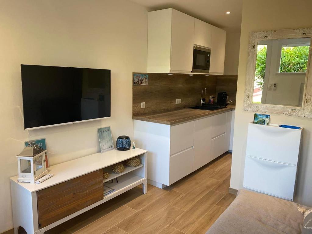 Kuchyňa alebo kuchynka v ubytovaní Studio CANNES PARC CROISETTE