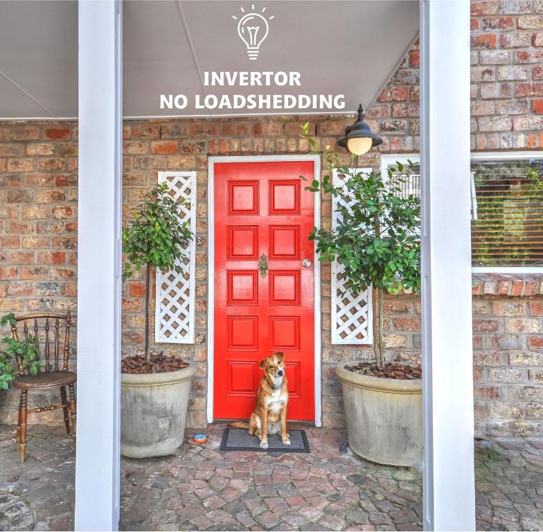 a dog sitting in front of a red door at Red Door Cottage in Wilderness