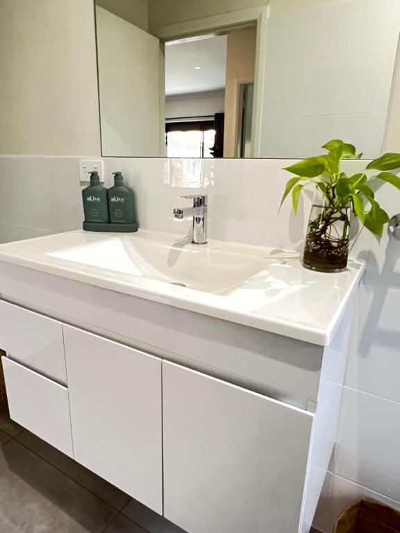 ein weißes Badezimmer mit einem Waschbecken und einem Spiegel in der Unterkunft Piper Apartment in Bathurst