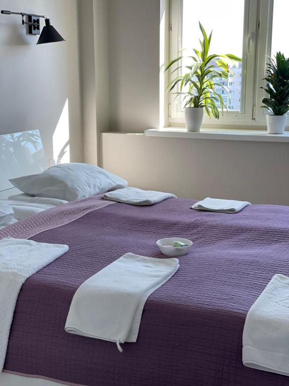 Dziesiąte Piętro - Appartement Met één Slaapkamer