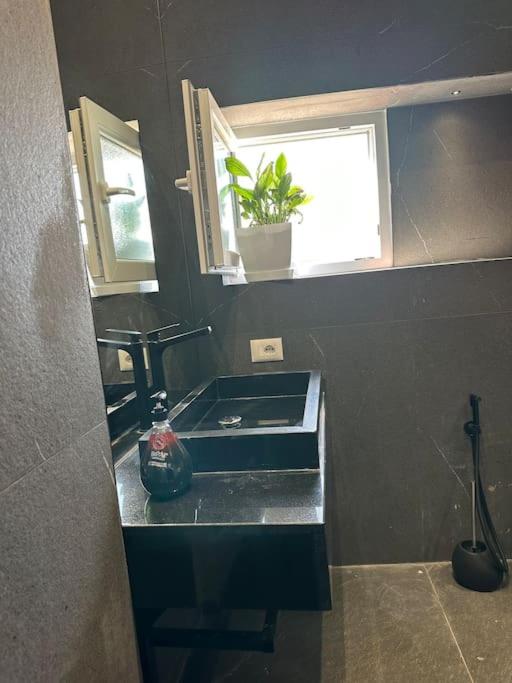 Green Apartment - Image 3