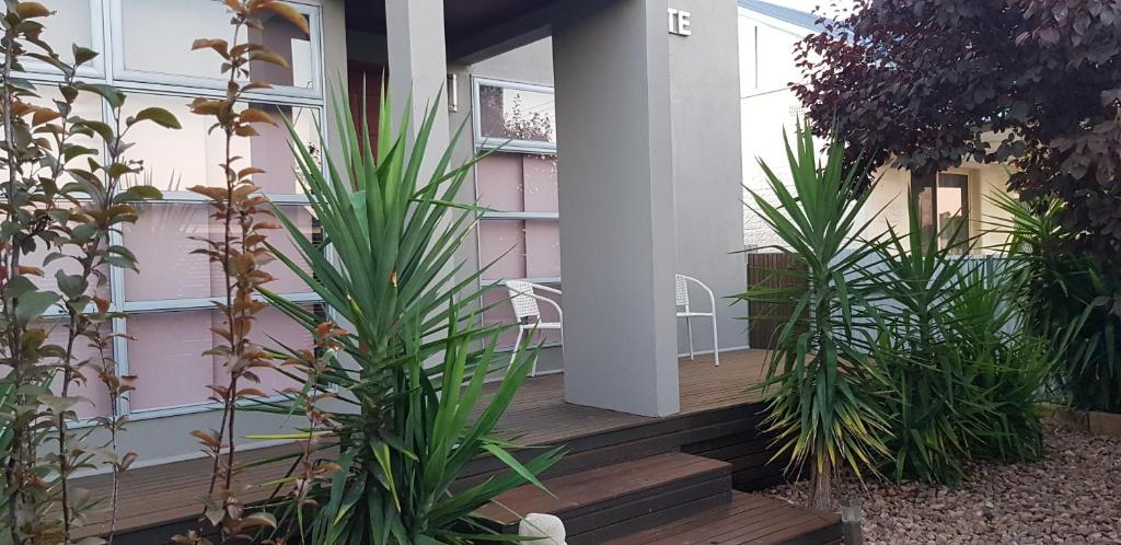 a house with a wooden deck with plants on it at Maison de Chocolate in Broken Hill