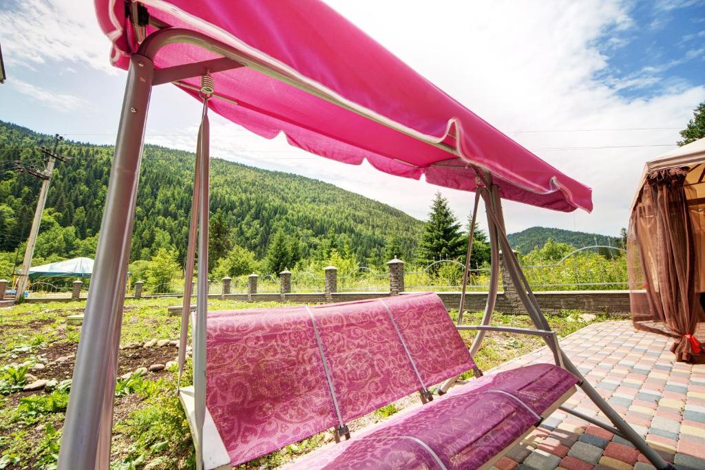 Příroda nedaleko hostelu