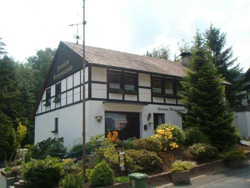 ein weißes und schwarzes Gebäude mit Blumen davor in der Unterkunft Pension Sonnenschein in Schmallenberg