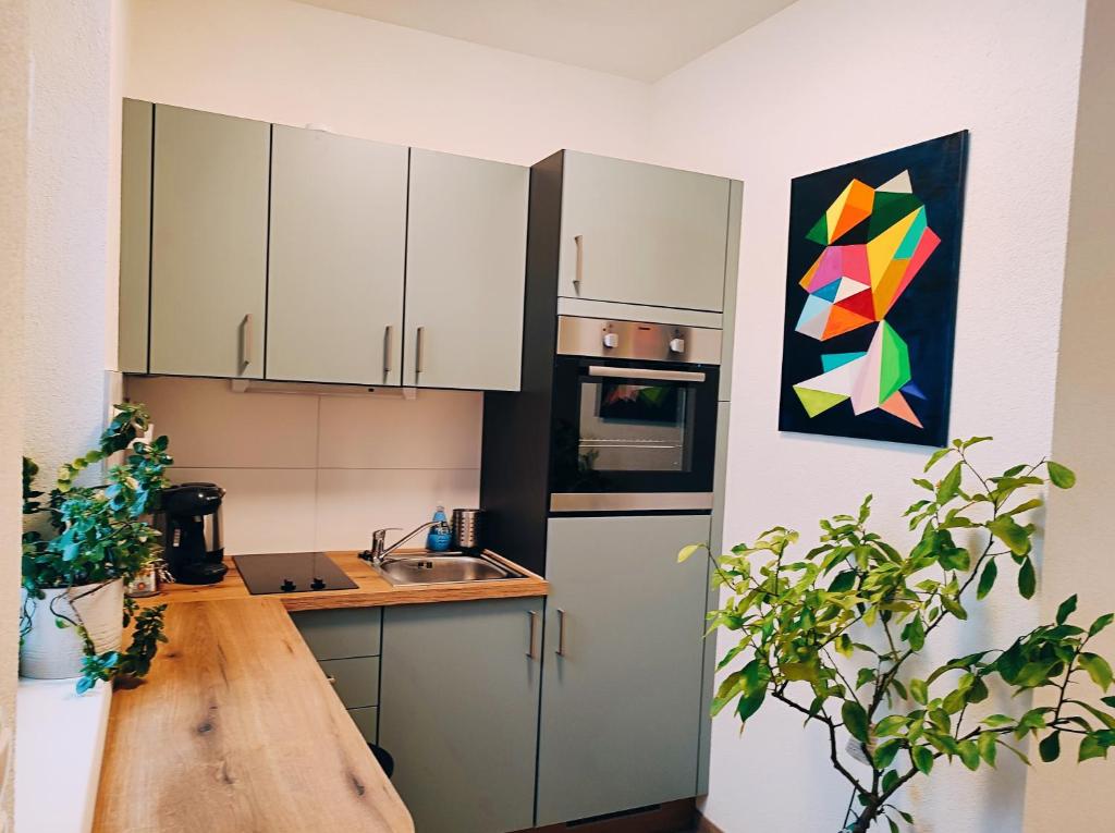 Kuchyň nebo kuchyňský kout v ubytování Apartment Gimpelchen