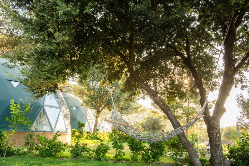 a hammock hanging from a tree in front of a house at Lusso Glamping Bodrum in Bodrum City