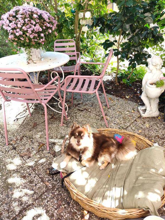 Hotel B&B LeLa - Resim 31